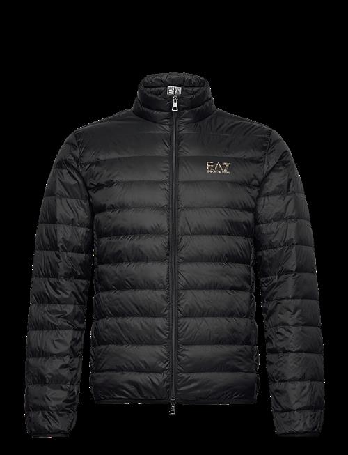 EA7 | Down Jacket | XL