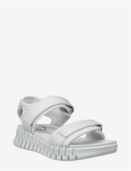 ECCO | Gruuv Sol W | 42