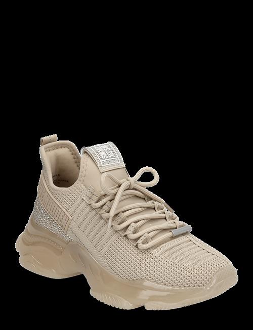 Steve Madden | Maxilla-R-E | 36