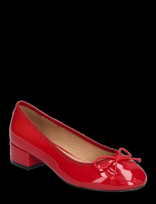 Steve Madden | Cherish | 36