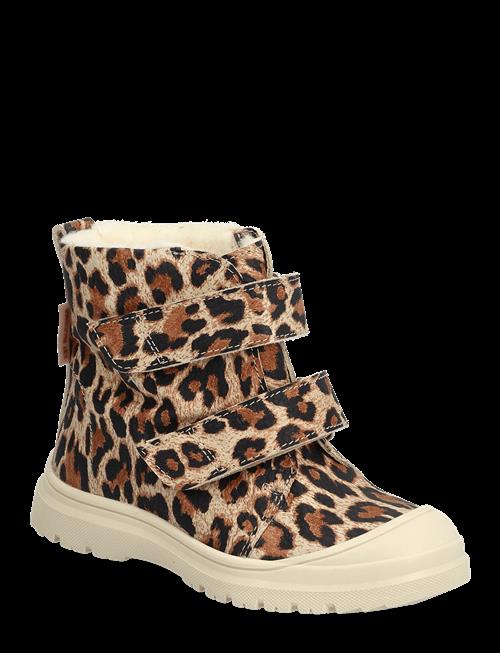 ANGULUS | Boots - Flat - With Velcro | 26
