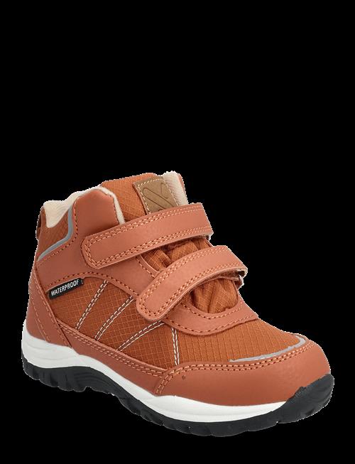 Exani | Harper K | 26