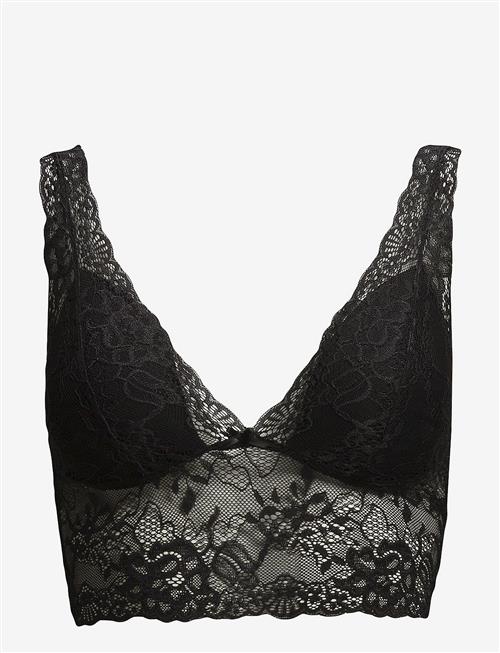 Missya | Nicole Bra Top | 42