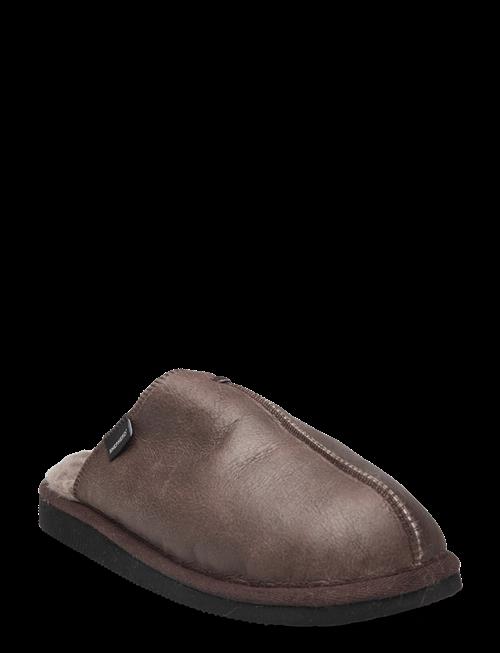 Shepherd | Hugo | 43