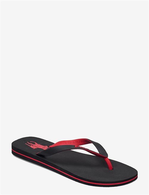 Polo Ralph Lauren | Bolt Pony Flip-Flop | 45