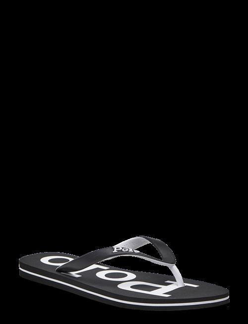 Polo Ralph Lauren | Bolt Logo Flip-Flop | 42
