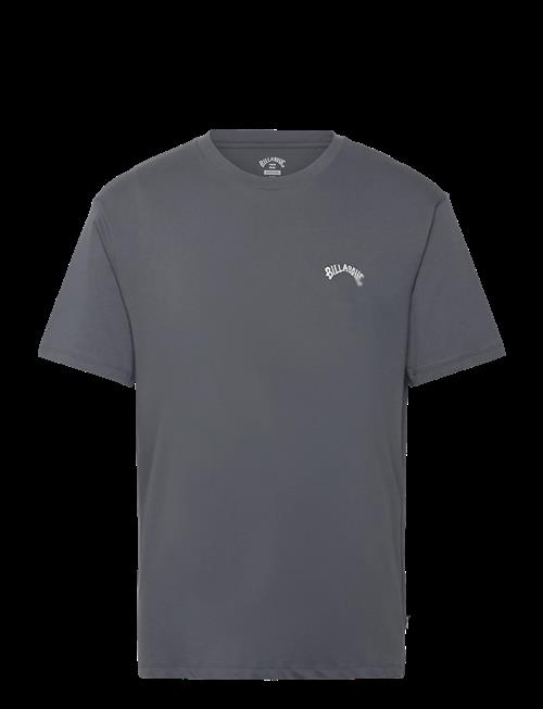 Billabong | Arch Crew Ss | S