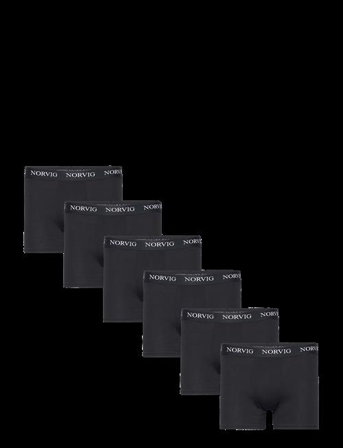 NORVIG | 6-Pack Mens Tights | XL