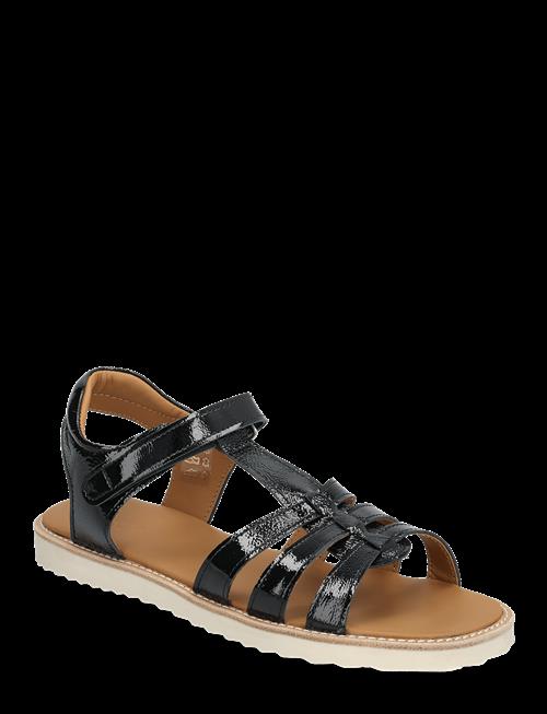 ANGULUS | Sandals - Flat  - Open Toe - Op | 34