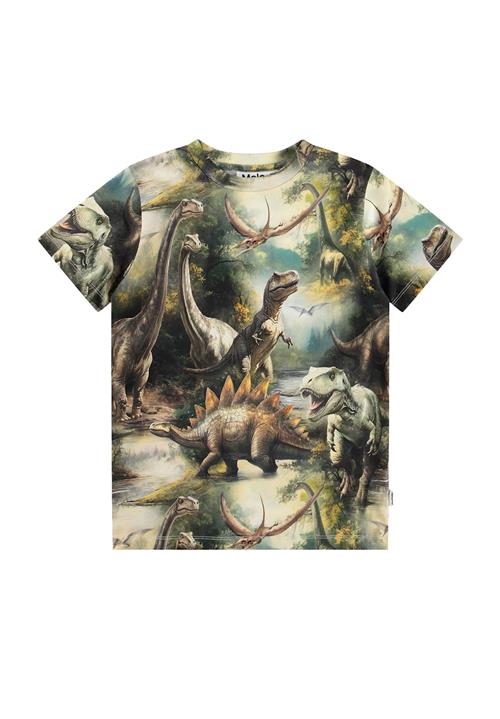 Molo Ralphie T-Shirts Short Sleeves Dino Harmony Dino Harmony 92 cm  Brun  92 cm  Drenge