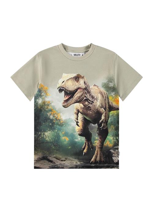 Molo Riley T-Shirts Short Sleeves Leafy Rex Leafy Rex 164 cm  Grøn  164 cm  Drenge