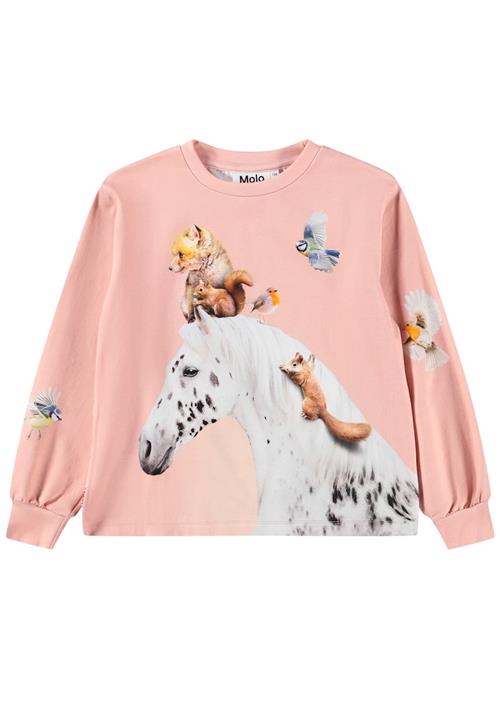 Molo Raffy T-Shirts Long Sleeves Entourage Entourage 104 cm  Lyserød  104 cm  Piger