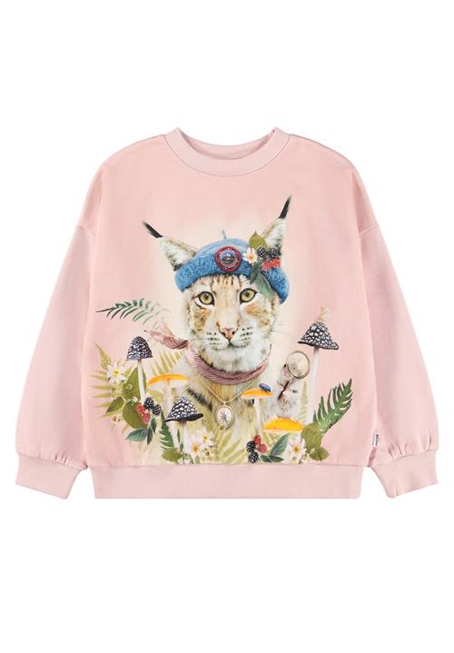 Molo Maxi Sweatshirt Nature Explorer  Nature Explorer 98 cm  Lyserød  98 cm  Piger