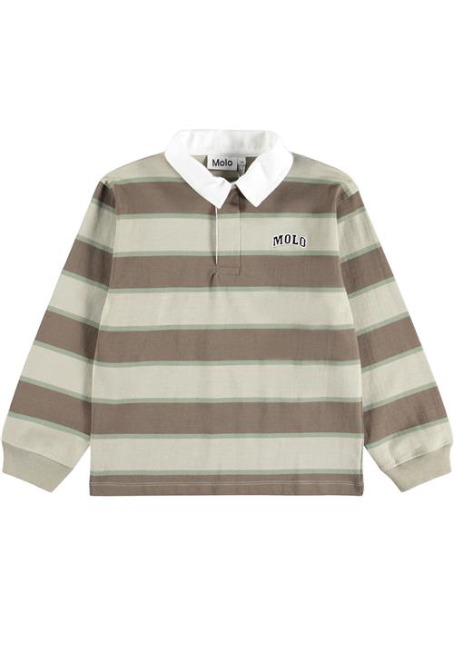 Molo GOTS Relz Poloshirt Ground Stripe  Ground Stripe 122 cm  Brun  122 cm  Drenge