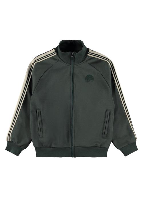 Molo Meracer Sweat Shirt Taxus Taxus 164 cm  Grøn  164 cm  Drenge
