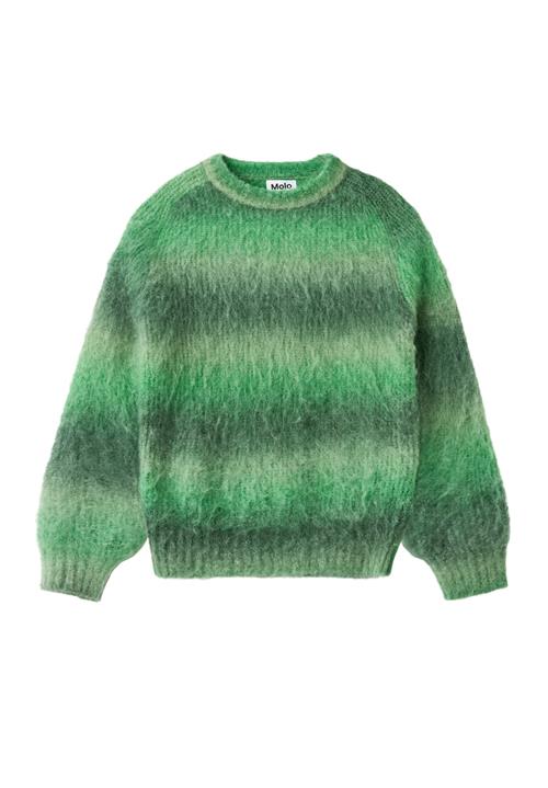 Molo Bosse Jumper Space Dye Green Space Dye Green 158/164 cm  Grøn  158/164 cm  Drenge