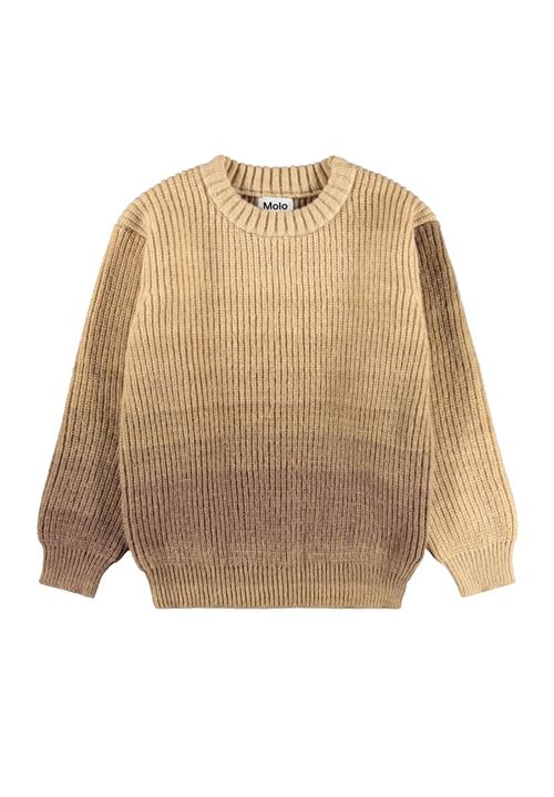 Molo Bello Jumper Elmwood Space Elmwood Space 122/128 cm  Brun  122/128 cm  Drenge