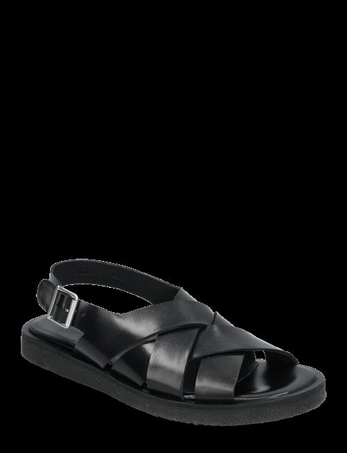 ANGULUS | Sandals - Flat  - Open Toe - Op | 41