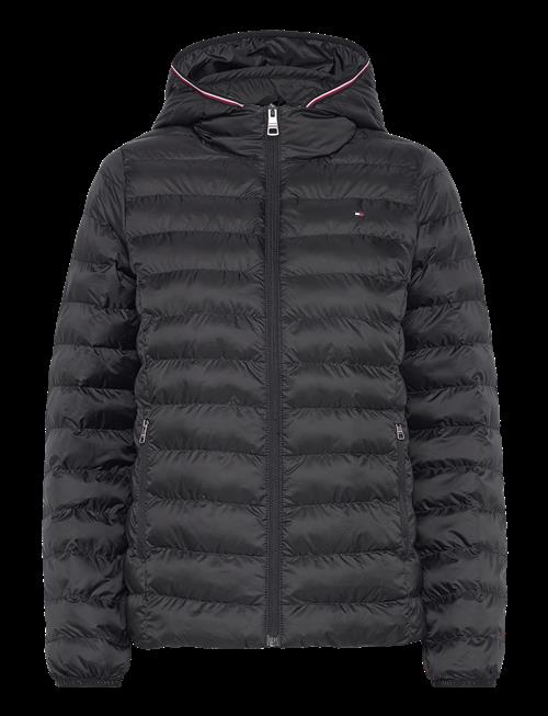 Tommy Hilfiger | Lw Padded Global Stripe Jacket | S