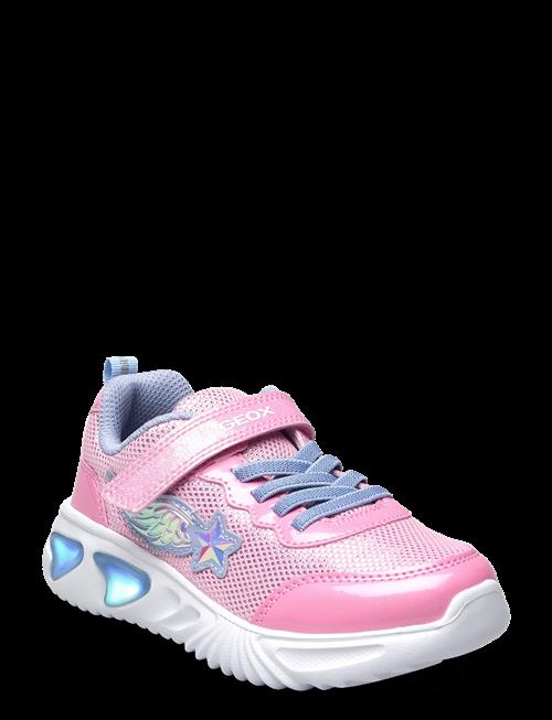 GEOX | J Assister Girl B | 34