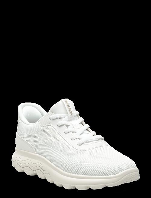 GEOX | D Spherica Plus A | 42