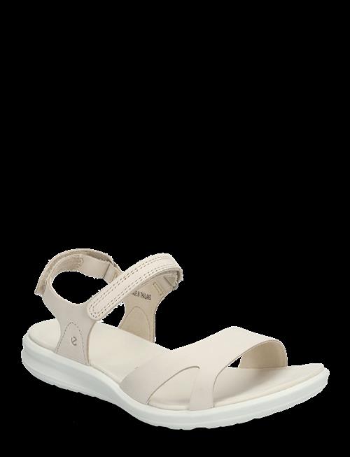 ECCO | Cruise Ii | 42