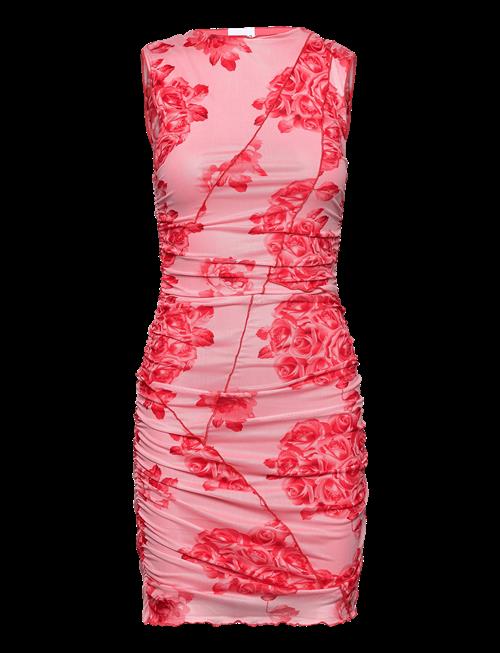 Noella | Sutton Short Dress | XL