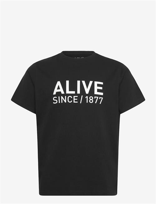 Helly Hansen | Core Graphic T 2.0 | XL