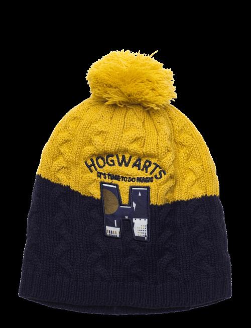 Harry Potter | Bonnet/Peruvien/Cagoule | 54