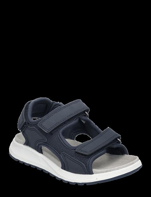 Viking | Anchor Sandal 3V | 33