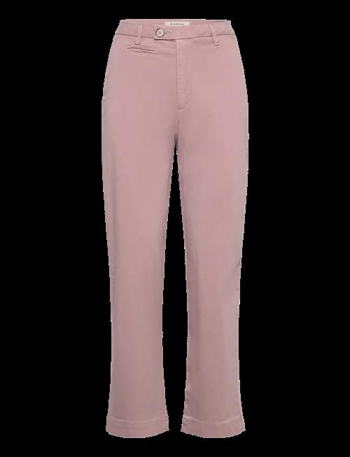 Pieszak | Pd-Anika Support Weekend Chino | 26 x 32