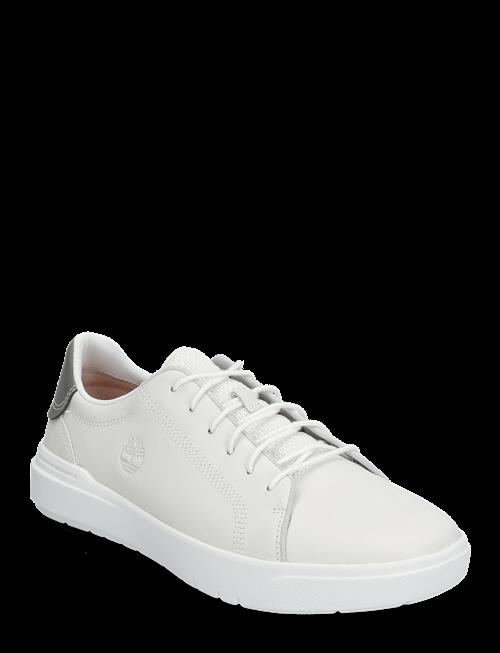 Timberland | Seneca Bay Low Lace Up Sneaker Blanc De Blanc | 41
