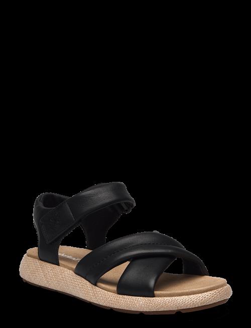Timberland | Backstrap Sandal | 37
