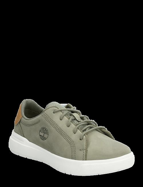 Timberland | Seneca Bay Low Lace Up Sneaker Deep Lichen Green | 35