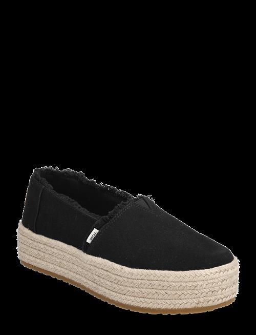 TOMS | Valencia | 39
