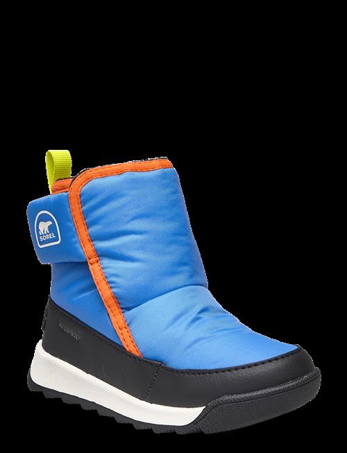 Sorel | Childrens Whitney Ii Plus Bootie Wp | 26