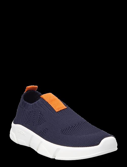 GEOX | J Aril Boy A | 31