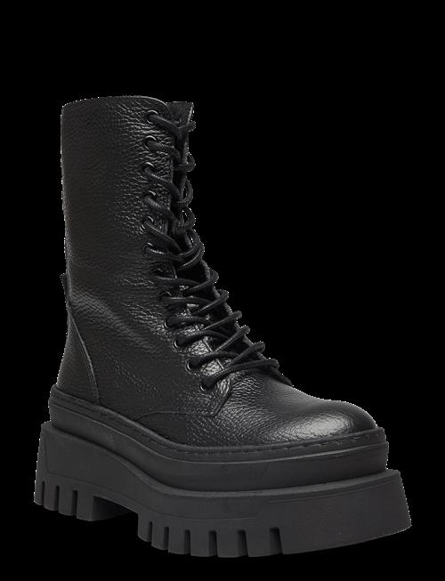 Steve Madden | Coast | 42