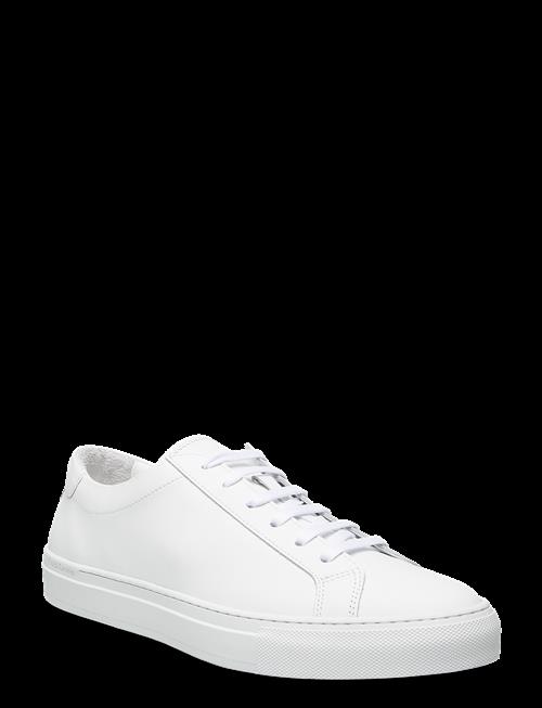 Polo Ralph Lauren | Jermain Leather Sneaker | 46