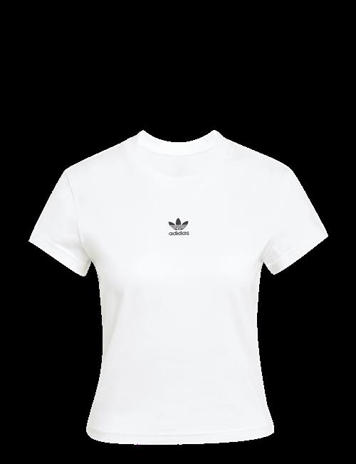 adidas Originals | Ess Slim Tee | L