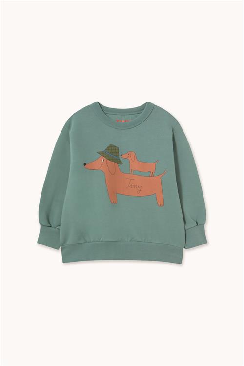 Tinycottons Two Dogs Graphic Sweatshirt Teal-4y  Blå  4 år  Drenge, Piger