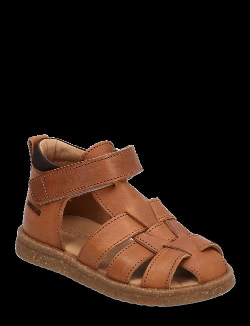 ANGULUS | Sandals - Flat  - Closed Toe | 24