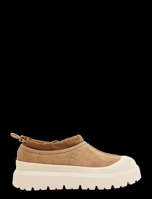 UGG | M Tasman Weather Hybrid | 37
