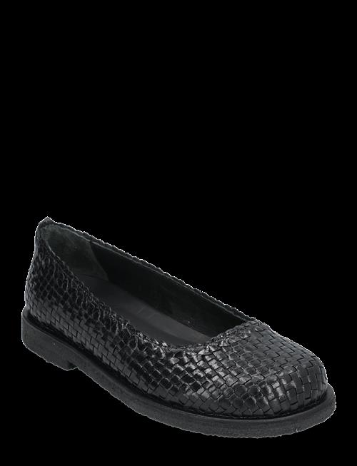 ANGULUS | Ballerina | 40