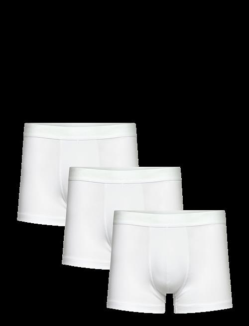Bread & Boxers | 3-Pack Trunk | M