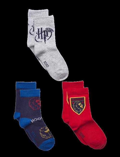 Harry Potter | Socks | 23-26