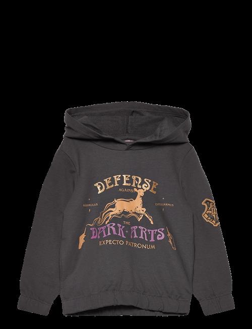 Harry Potter | Sweats | 98