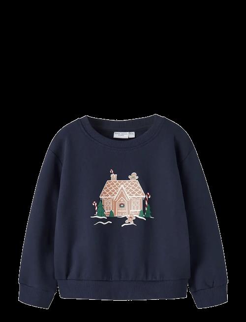 name it | Nmfvismas Ls Nreg Sweat Bru | 104
