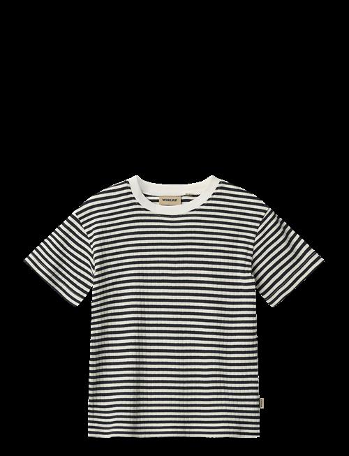 Wheat | T-Shirt S/S Fabian | 110
