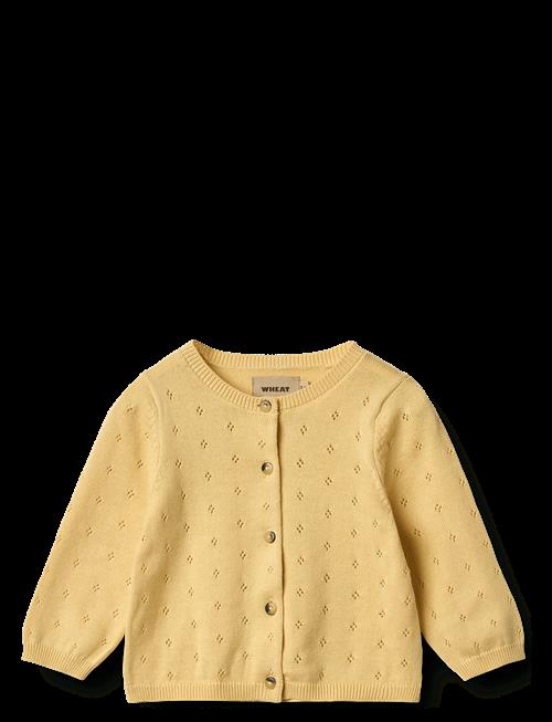 Wheat | Knit Cardigan Maia | 92